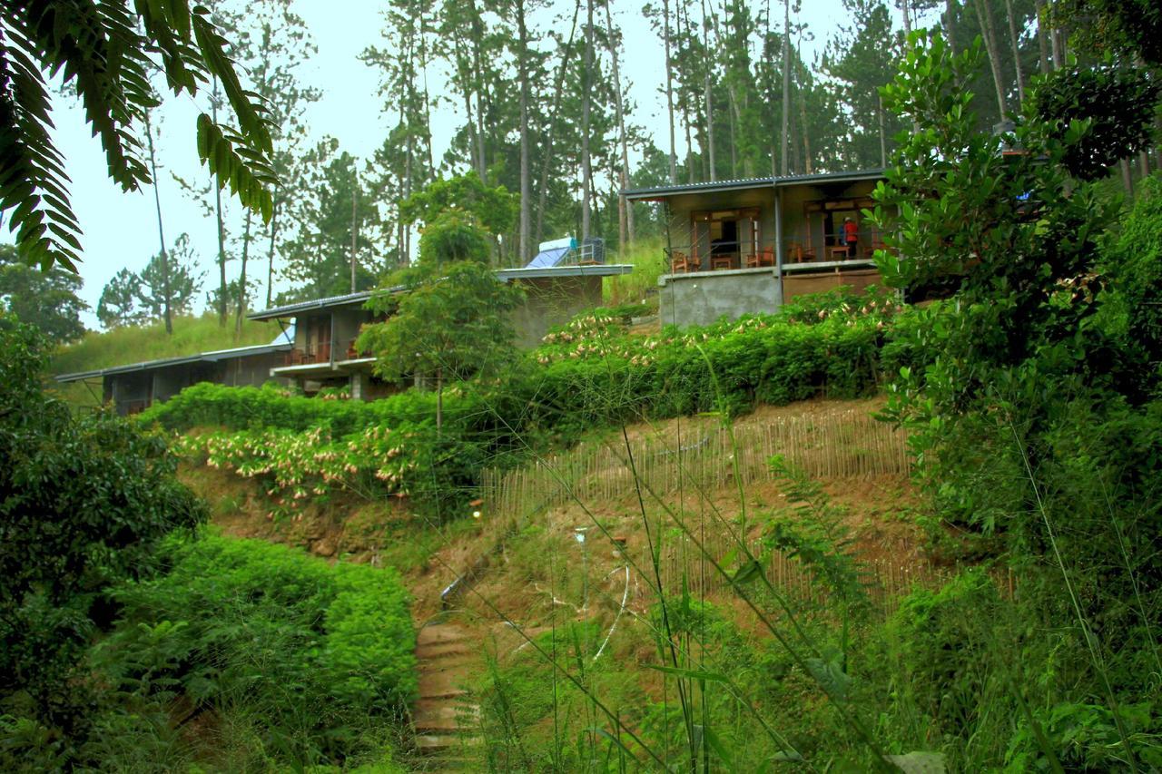 Rowinrich Cottages Ella Extérieur photo